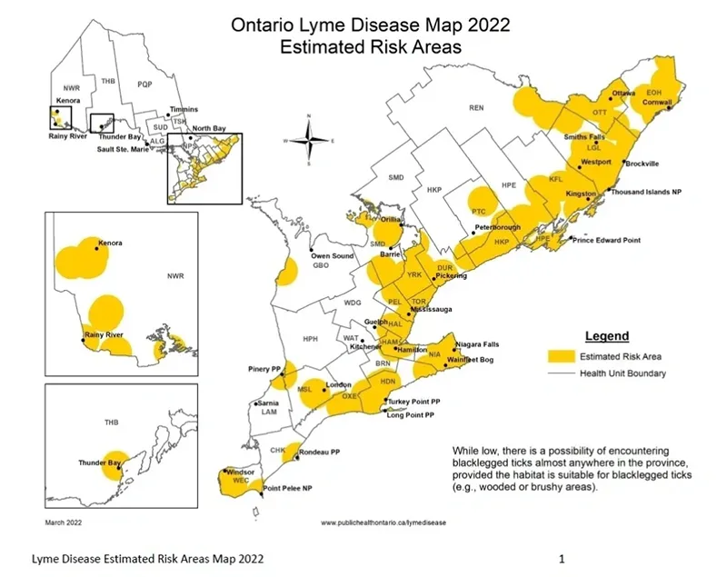 Map of Ontario showing estimated Lyme disease risk areas shaded in yellow with health unit boundaries outlined